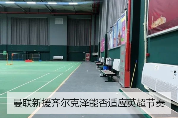 曼联新援齐尔克泽能否适应英超节奏